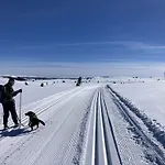 Sole Gjestegard