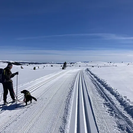 Sole Gjestegard